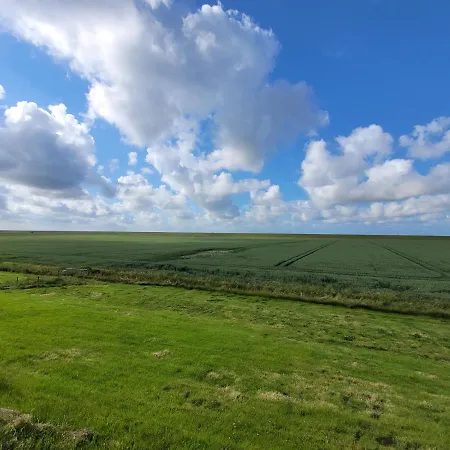 Am Yachthafen דירה *